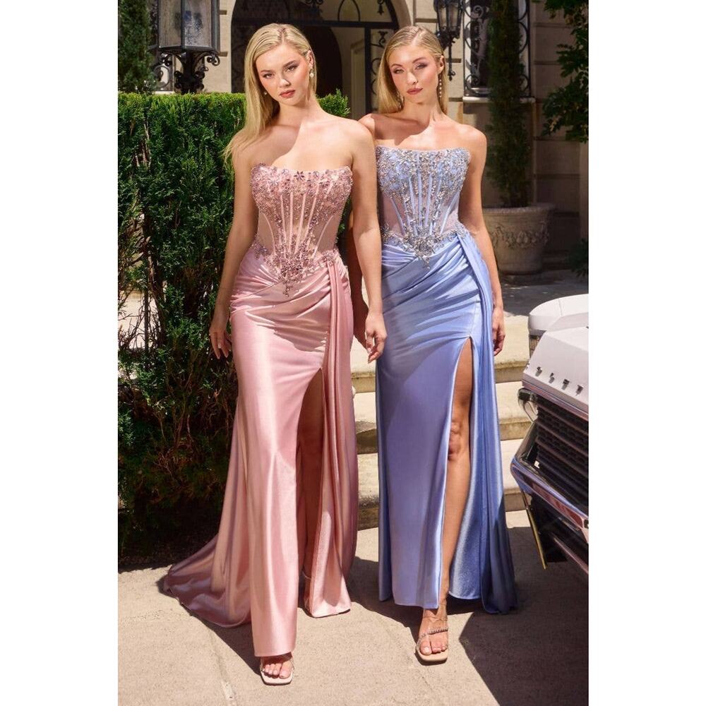NWT Ladivine C169 Evening Gown Dress Women Size 0 Blush Crystal Satin Slit Glam